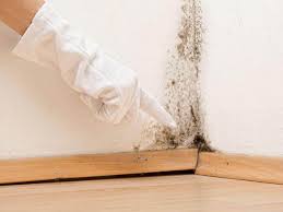 Best Mold Odor Removal Services  in Ruidoso Downs, NM